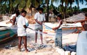 Rybáři na pláži přebýrají úlovek. Arugam Bay. Srí Lanka.