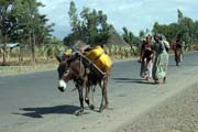 Vesnice jin od Addis Abbeby. Etiopie.
