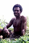 Domorodec z kmene Dani. Papua,  Indonsie.