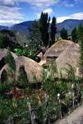 Tradiční vesnice Daniů. Jižní část Baliemského údolí. Papua, Indonésie.