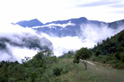 Severní část Baliemského údolí. Papua, Indonésie.