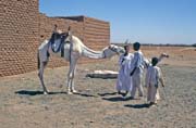 Velbloud trh na okraji trhu Lybia. Chartm (Omdurman). Sdn.