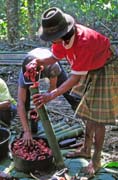 Na pohebn slavnosti. Pprava jdla na jednu z mnoha hostin. Oblast Tana Toraja. Sulawesi, Indonsie.