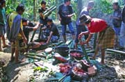 Na pohebn slavnosti. Pprava jdla na jednu z mnoha hostin. Oblast Tana Toraja. Sulawesi, Indonsie.