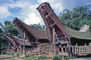 Tradiční domy tongkonan, oblast Tana Toraja. Sulawesi, Indonésie.
