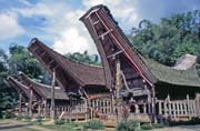 Tradin domy tongkonan, oblast Tana Toraja. Sulawesi,  Indonsie.