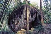 Hroby jsou v dnen dob tesny ve skalch. Oblast Tana Toraja. Sulawesi, Indonsie.