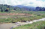 Rýžoviště, údolí Mamasa, oblast Tana Toraja. Sulawesi, Indonésie.