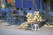 Prodava kokos ve mst Ujung Pandang. Sulawesi, Indonsie.