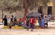 Poulin trh ve mst Timbuktu (Tombouctou). Mali.