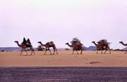 Kočovní Tuaregové. Poušť Sahara. Mali.