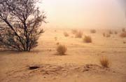 Písečná bouře. Poušť Sahara. Mali.