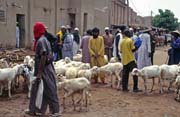 Sekce s dobytkem na tradinm pondlnm trhu ve mst Djenn. Mali.