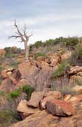 Národní park Flinders Ranges. Austrálie.