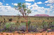 Ayers Rock (Uluru). Jedne z největších monolitů na světě. Austrálie.