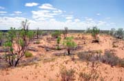 Červená poušť u města Yulara. Austrálie.