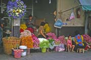 Kvtinov trh. Bangkok. Thajsko.