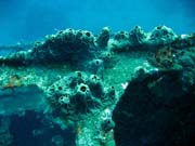 Vrak holandské obchodní lodi potopené v roce 1942. Potápění u ostrova Bunaken, lokalita Molas Wreck. Sulawesi, Indonésie.