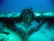 Potpn u ostrova Biak, lokalita Catalina wreck. Indonsie.