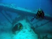 Potpn u ostrova Biak, lokalita Catalina wreck. Papua, Indonsie.