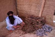Žvýkací tabák. Oblíbený hlavn mezi nomády. Město Agadez. Niger.