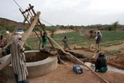 Velbloud pohání rumpál u studny. Poušť Sahara. Niger.