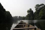 Přírodní rezervace na řece Lobe je domovem mnoha druhů ptáků a rostlin. Okolní prales je častým sídlištěm Pygmejů. Kamerun.