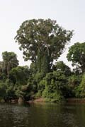 Řeka Lobe. Kamerun.