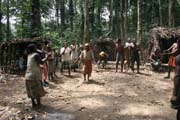 Tradiční tance v Pygmejské vesnici na řece Lobe. Kamerun.