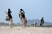 Tradin velbloud zvody na tuaresk svatb. Oblasti poho Air. Niger.