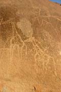 Historické kresby na Sahaře v oblasti Zarzen. Kresby zobrazují typická africká zvířata, která zde v době úrodných plání žila. Niger.
