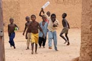 Oza Iferouane. Pou Sahara. Niger.