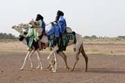 Slavnost Cure Sale (Lba sol) a Tuaregov. Msteko In-Gall. Niger.