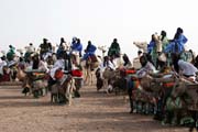 Tuaregov ekaj na pjezd na slavnost Cure Sale (Lba sol). Msteko In-Gall. Niger.