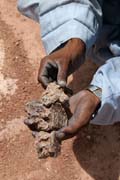 Zkamenělé kosti z krokodýla. Dinousauří hřbitov v blízkosti města Agadez.  Niger.