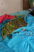 Jemenská droga kat. Město Hadibu na ostrově Socotra (Suqutra). Jemen.