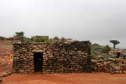 Typick kamenn domeek ve vnitrozem ostrova Socotra (Suqutra). Jemen.