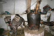 Lisovn sezamovho oleje za pomoci velbloud. Star tvr msta Sana. Jemen.