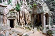 Chrm Ta Prohm - chrm zanechan v dungli. Oblast chrm Angkor Wat. Kamboda.