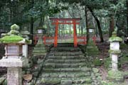 Chrám Kasuga Grand, Nara. Japonsko.