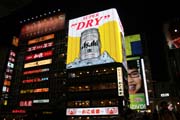 Dotombori (někdy též Dotomburi) je zábavní čtrť na březích řeky Dotombori ve městě Osaka. Japonsko.