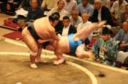 Sumo zápasníci v akci. Tokio. Japonsko.