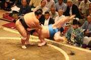 Sumo zpasnci v akci. Tokio. Japonsko.