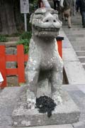 Svatyně Tsurugaoka Hachiman-gu, Kamakura. Japonsko.