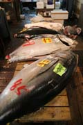Rybí trh Tsukiji, Tokio. Japonsko.