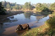 Slon koupel. Kemp s pracovnmi slony. Okol msta Taungoo. Myanmar (Barma).