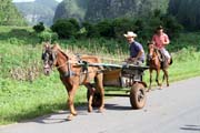 Údolí Vinales (Valle de Vinales). Kuba.