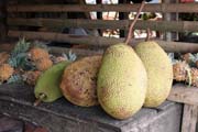 akie i chlebovnk (anglicky jackfruit), trh ve vesnici Tomohon. Indonsie.