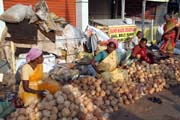 Prodej kokosů, Thiruvananthapuram (Trivandrum). Indie.