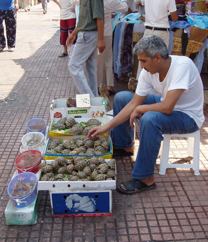 Rabat. Maroko.